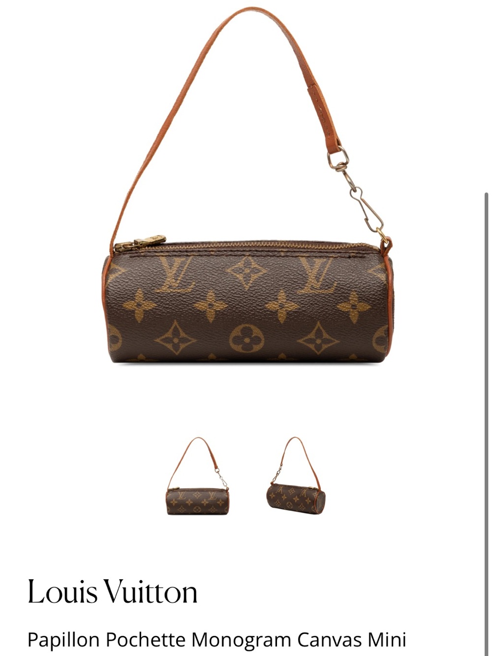 Louis Vuitton Papillion Pochette